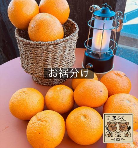 好久没分享芝福啦 (^^)
我们有露台上田里种的夏季柑橘。
请随意带一些回家。欢迎用餐者和推婴儿车的顾客。
它一点也不甜！但非常适合用来做果酱或橙皮。
要不要洗个澡？
#柴福
#户冢安行
#东川口
#川口美食
田野里的夏日柑橘
#分享
#不含农药