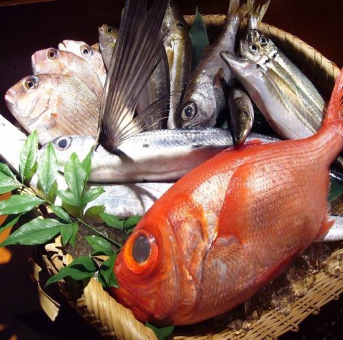 카나가와 현에서 생산 된 신선한 地魚!