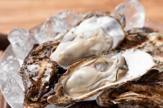 知内産　活牡蠣２ケ～