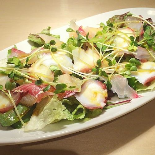 [Salad] Large carpaccio with plenty of vegetables