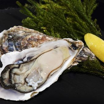 【生牡蠣付きプレミアムコース★全12品90分飲み放題付6000円(税込)】