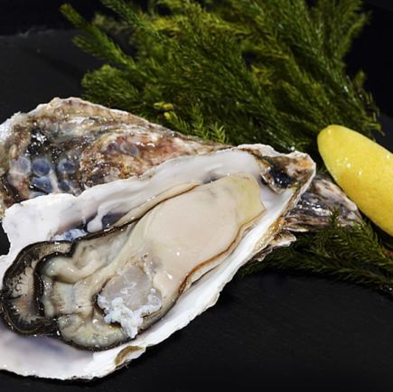 【생굴이 있는 프리미엄 코스 ★전 12품 90분 음료 무제한 6000엔(부가세 포함)】