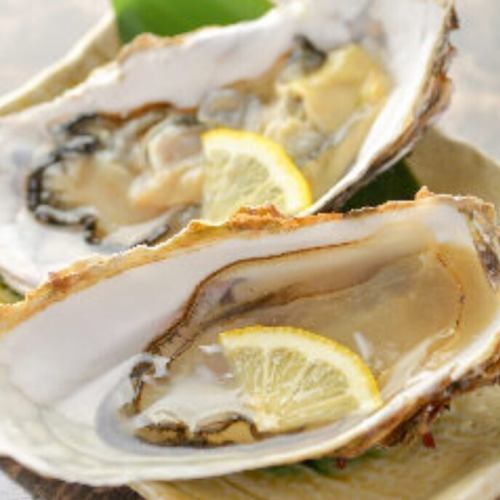 石巻産牡蠣が最高に美味