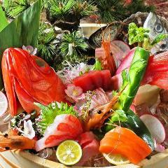 市場直送！新鮮な美味い魚