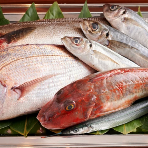 今までの生産者とのネットワークで直送される魚