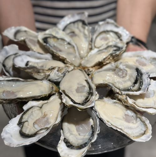 全国からその日ベストな牡蠣を厳選！