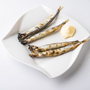 Grilled shishamo with roe