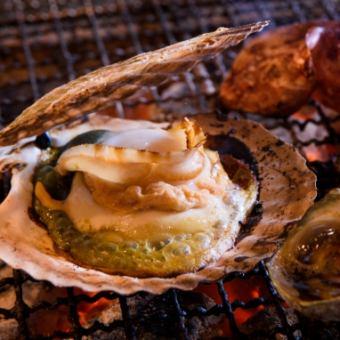 Grilled scallops in shell