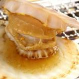Grilled Scallop / Whole Grilled Squid