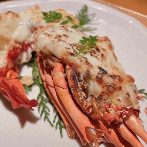 Spiny lobster gratin