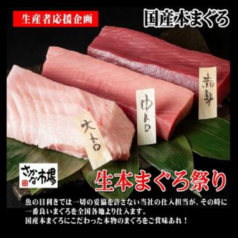 Buy one domestically produced bluefin tuna 《Raw bluefin tuna festival》