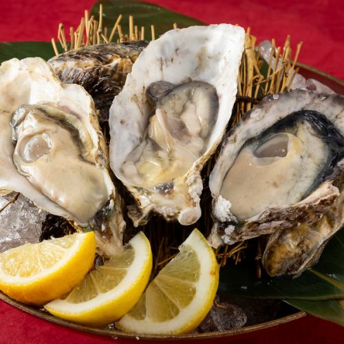 Raw oysters with shells/grilled oysters with shells [Hyogo Prefecture] 1 each