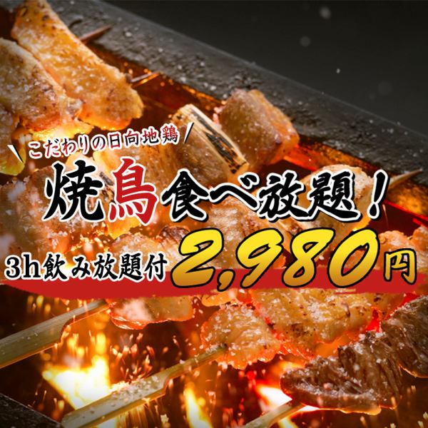 All-you-can-eat Miyazaki brand local chicken, Hyuga local chicken Yakitori ♪ Relaxing for 3 hours with all-you-can-drink available at 2980 yen!