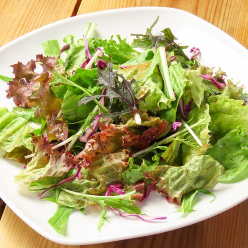 Simple Green Salad with Sherry Vinegar Dressing Regular