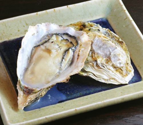 [From Sakoshi, Hyogo] 1 grilled oyster
