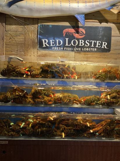 Lobster tanks receive fresh lobster 365 days a day from Canada!
