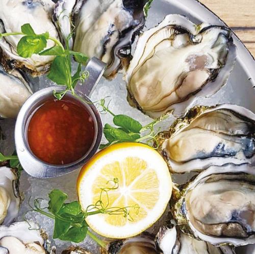 One New Zealand oyster from the World's Seven Greatest Oysters