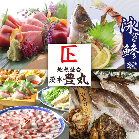 【JR茨木駅目の前！】新鮮なお刺身と魚介逸品料理の宝庫がすぐそこに！！宴会に最適◎