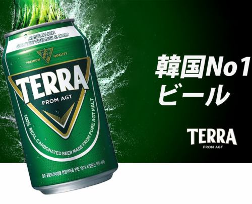 韩国啤酒TERRA