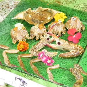 Specialty Raw crab marinated in medicinal soy sauce ~Ganjangejang~