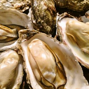 【2026年1月2月平日限定3組様◎】２種かき食べ放題コース2H飲放付全6品6000円☆