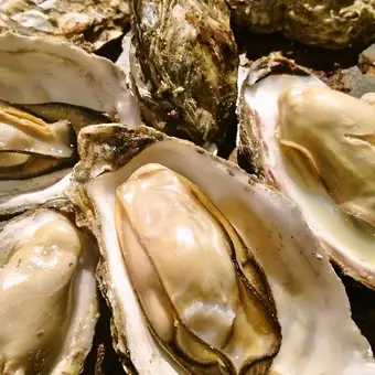 <王道・人気NO1>蒸し牡蠣&かきフライ食べ放題2H飲放付全6品6000円☆