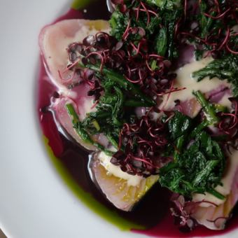 스페셜 inda 코스(12월 26일부터)