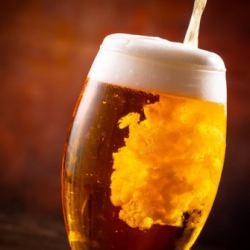 【早鸟优惠】下午 4 点至 5 点之间报名课程，立减 500 日元！