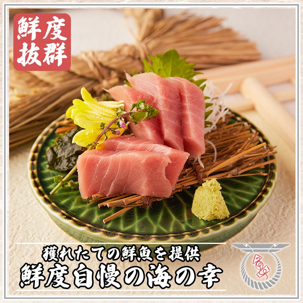 超新鮮！我們全年供應新鮮捕撈的當季鮮魚！請盡情享用！