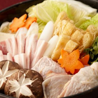 [Perfect for New Year's and Year-end Parties] Delicious Chicken Mizutaki (9 dishes in total) Course with only food: 5,000 yen ⇒ 4,500 yen (tax included) with coupon