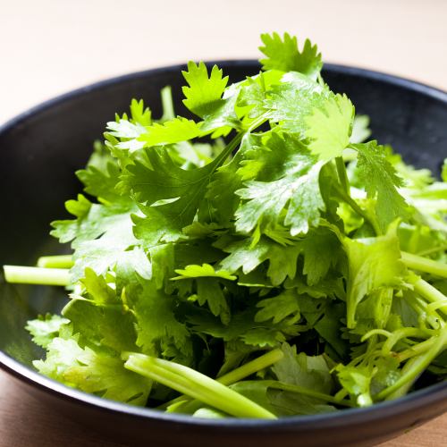 Coriander