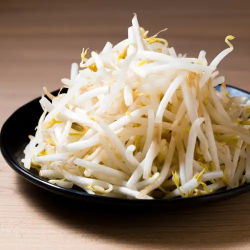 콩나물