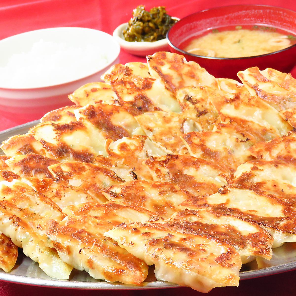 にんにく不使用！焼餃子チャレンジ定食（2～5人前）1,000円