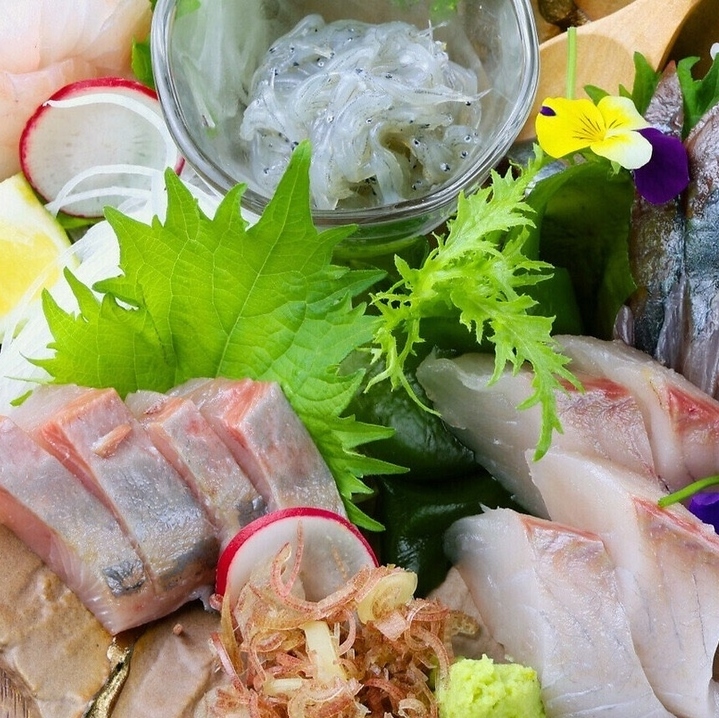 契約漁港からの直送の新鮮な海鮮のお造り盛り合わせあり!