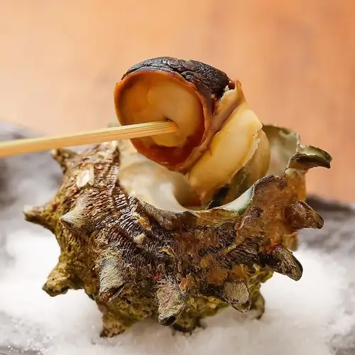 One grilled turban shell / Charcoal-grilled extra-thick dried squid