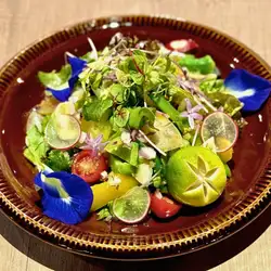 Osaka MON Salad with 20 Ingredients