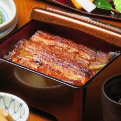 Grilled and unagi (grilled eel)