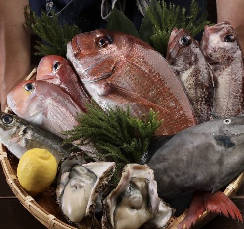 系列店「海鮮居酒屋 魚魯こ」で培った、仕入れの強み