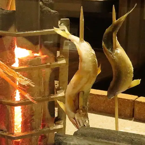 あゆ 1匹