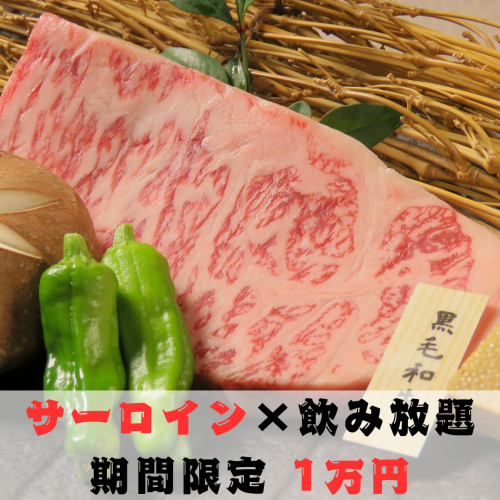 ◆黒毛和牛サーロイン◆オーナー経営の牧場から仕入れているからこそ実現できるコストパフォーマンス◎