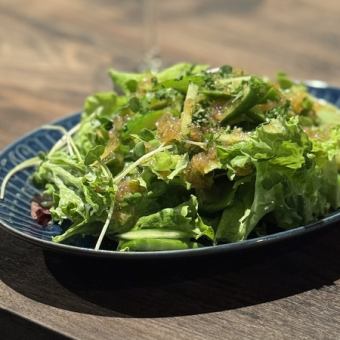 グリーン色野菜のサラダ