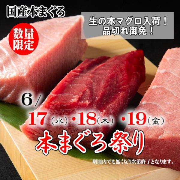 《生本まぐろ祭》6/17(水)～19(金)の3日間の限定開催！
