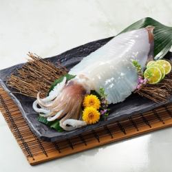 数量限定 烏賊の姿造り