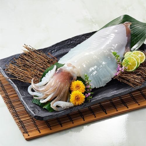 数量限定　烏賊の姿造り