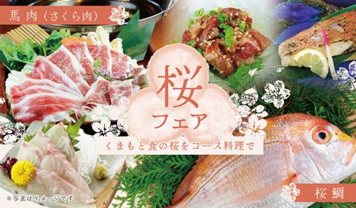 限定桜会席