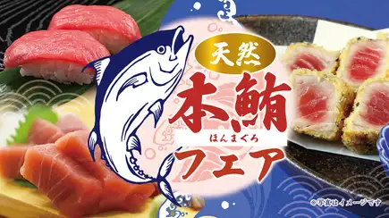◇All-you-can-eat natural bluefin tuna kaiseki course◇ [8 dishes total] 110 minutes all-you-can-drink included ⇒ 9000 yen (tax included)