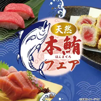 ◇Special Kaiseki Course with Natural Bluefin Tuna◇ [9 dishes total] 110-minute all-you-can-drink included ⇒ 10,000 yen (tax included)