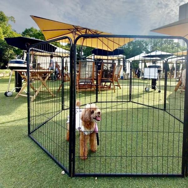 開放的な大自然のもとで、お食事が楽しめます♪具材はもちろん、炭や食器すべてお任せ！お片付け無し！手ぶらBBQ♪お子様ご利用の方レジャーシートなど用意していただければ、芝生の上でお過ごしいただけます。※当日強風の際は安全面を考慮し閉じさせていただきます。