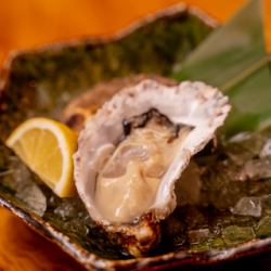 Raw oysters