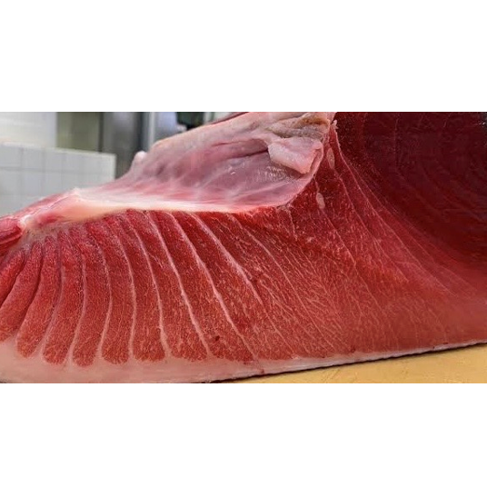 【鮪のこだわり】マグロに卓越したスタッフが厳選仕入れしたその時期に一番美味しいマグロをお手頃価格で★